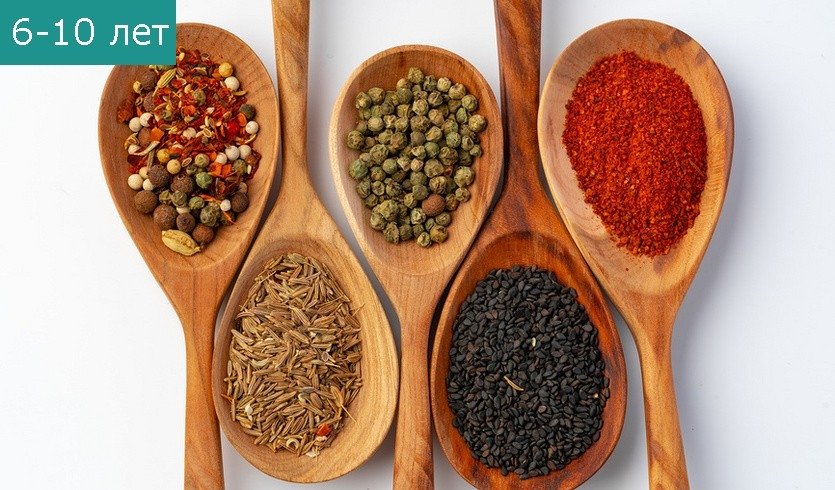 Мастер-класс «Рисунки специями» (Музей специй) — Сборные экскурсии для школьников в Санкт-Петербурге от 500 рублей