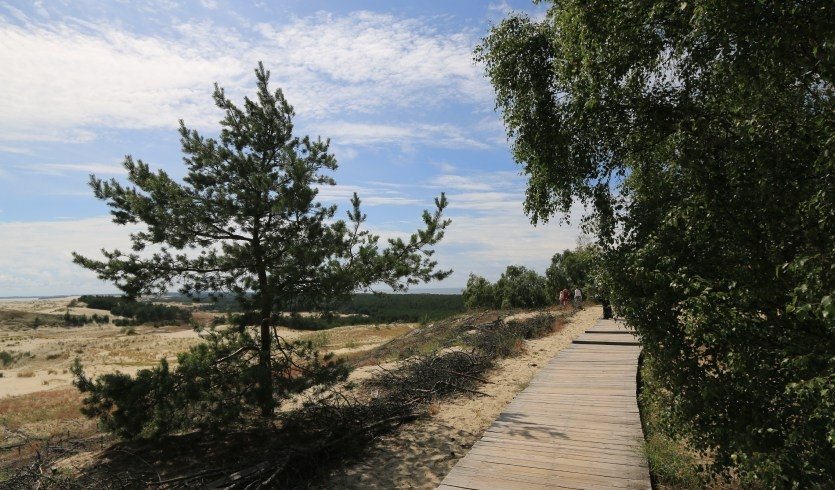 Страна Янтария — фото №6 — Прогулки / Юшина Е. Страна Янтария — экскурсия по расписанию от 26000 рублей