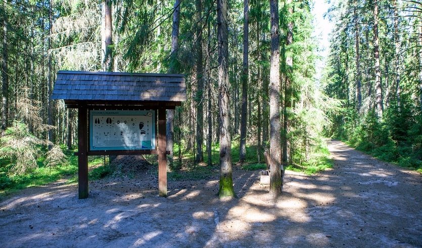 Прогулка по Комарово – Пешеходные экскурсии от 600 рублей