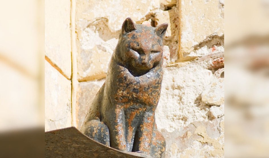 ЗаМурчательный Петербург (для групп) — Интерьерные экскурсии от 190 рублей