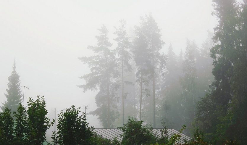 Лахти - отдых на берегу озера Паяне - туры в Финляндию