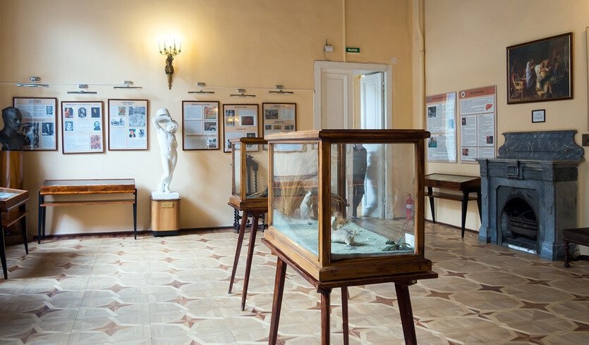 Дворец И. И. Шувалова — Дворцы и особняки