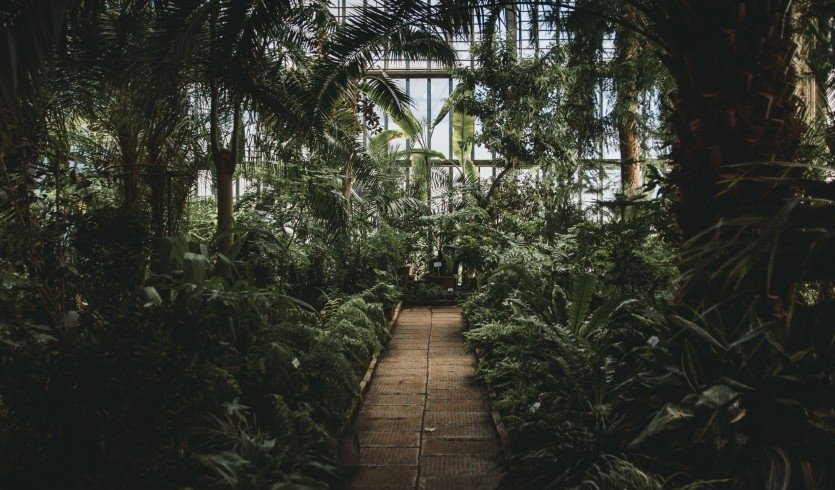 Оранжерея – тематические автобусные экскурсии от 1800 рублей
