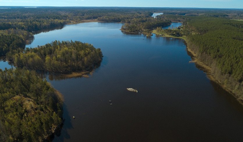 Карельский перешеек. Жаркое лето 1941-го — Автобусные загородные