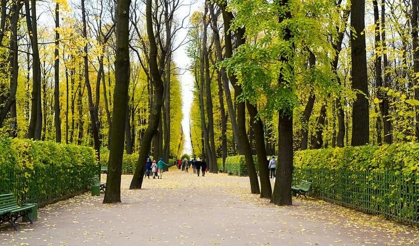Аллея в Летнем саду – сборные экскурсии для школьников в Санкт-Петербурге от 850 рублей