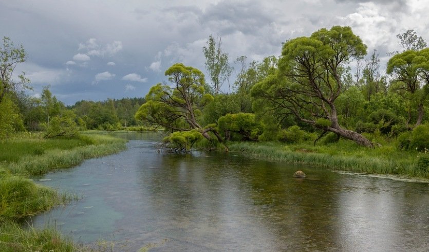Извара. Горизонты Рериха – загородные экскурсии от 1700 рублей