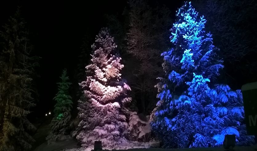 Зимний вояж по Карелии — фото №3 — Прогулки Зимний вояж по Карелии — туры в Карелию от 14450 руб.