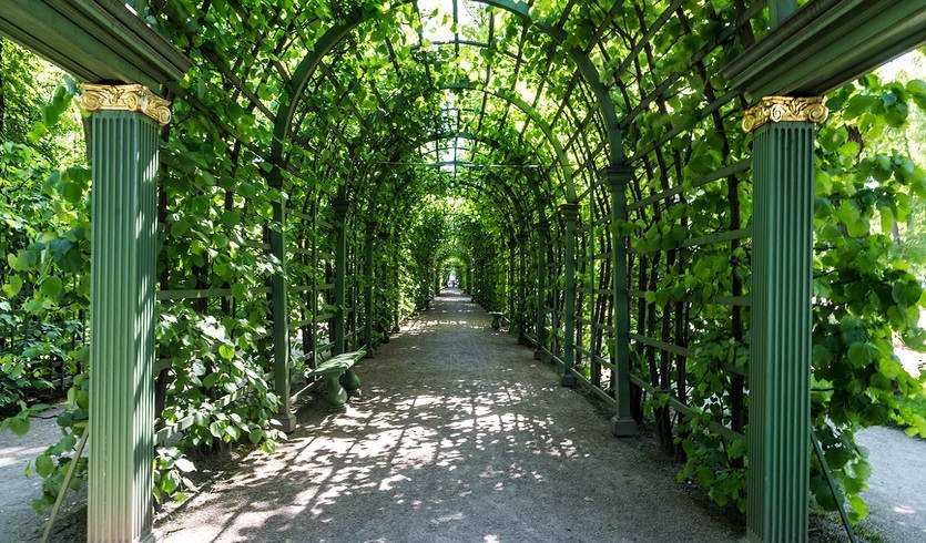 Золотой треугольник Петербурга (для школьных групп) — Экскурсии и программы для детей от 240 рублей