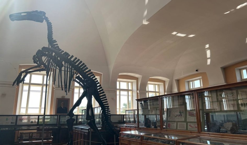 Скелет травоядного утконосого динозавра – интерьерные экскурсии от 1200 рублей
