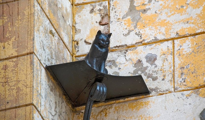 ЗаМурчательный Петербург (для школьных групп) – экскурсии и программы для детей от 975 рублей