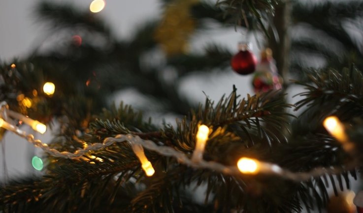 Интерактивные маскарады в доме-музее актеров Самойловых – новогодние программы для школьных групп от 700 рублей