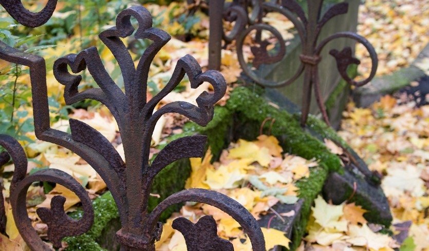 Волковское лютеранское кладбище – пешеходные экскурсии от 600 рублей