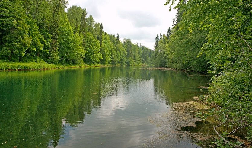 Секреты русского Версаля: у истоков петергофских фонтанов (для групп) – автобусные экскурсии для организованных групп от 3350 рублей