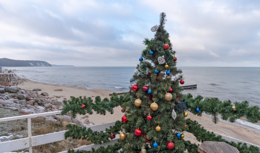 На самом западе России (ноябрь-март) – сборные туры в Калининград от 18600 рублей