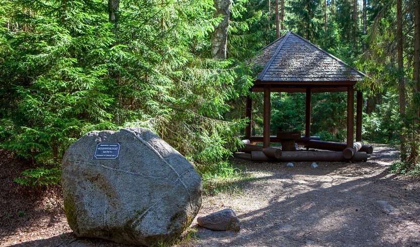 Прогулка по Комарово – Пешеходные экскурсии от 600 рублей