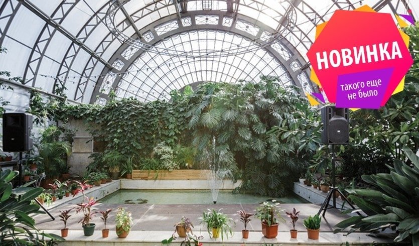 Зимние сады Петербурга – тематические автобусные экскурсии от 1800 рублей