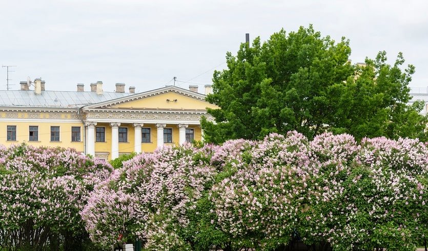 Екатерининский канал, часть 1 – Пешеходные экскурсии