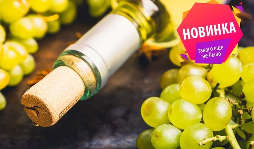 «Мир винных ароматов» (Винный дом Bahus House) – интерьерные экскурсии от 3200 рублей