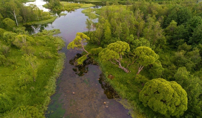 По окрестностям Извары (с посещением дома-музея Рериха) – фото №2 – Фотобанк Лори / Виктор Карасев По окрестностям Извары (с посещением дома-музея Рериха) – загородные экскурсии от 1600 рублей