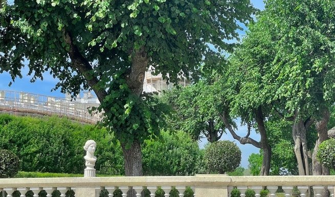 Гатчина – сборные экскурсии для школьников в Санкт-Петербурге от 750 рублей