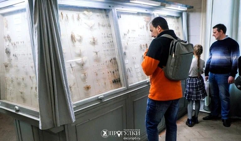 «Гиганты и карлики» (Зоологический музей) – фото №2 «Гиганты и карлики» (Зоологический музей) – детские экскурсии от 700