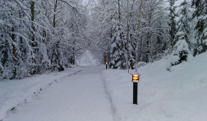 Новогодняя интерактивная программа в Ялкале (для заказных групп) – автобусные экскурсии для организованных групп