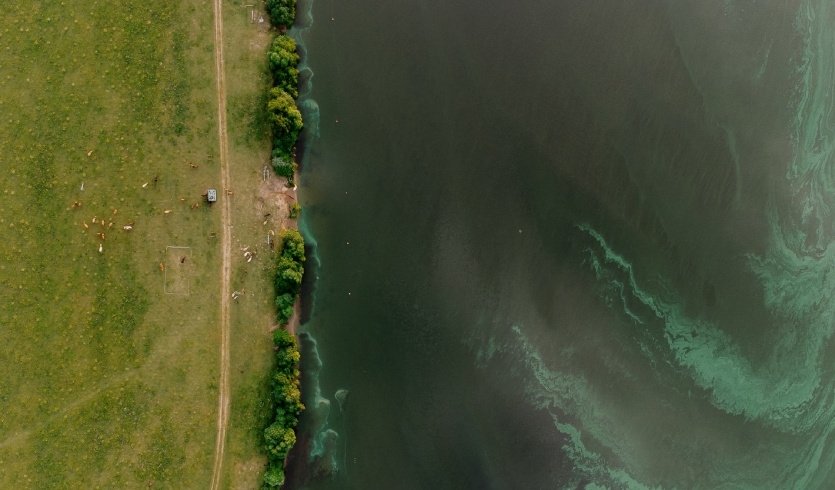 Провинция, ты тем и хороша... (Венёв-Тула-Крапивна-Дубна) — фото №4 — Photo by Ivan Stepanov on Unsplash Провинция, ты тем и хороша... (Венёв-Тула-Крапивна-Дубна) — экскурсия для заказных групп от 8400 рублей