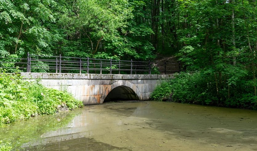Еще одна прогулка от станции Университет до дачи семьи Бенуа (для групп) – пешеходные экскурсии от 380 рублей