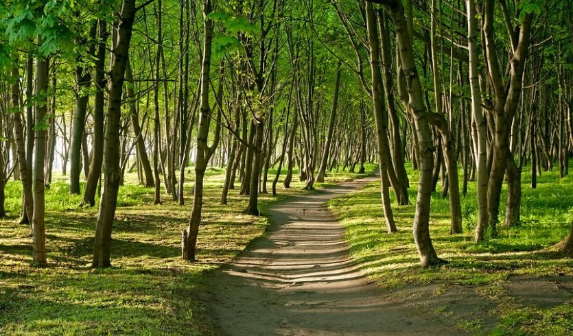 В Тридевятом Царстве (май-октябрь) — экскурсия по расписанию от 18000 рублей