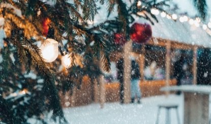 «Новогодняя сказка» (Русская деревня Шуваловка) – новогодние программы для школьных групп от 2500 рублей