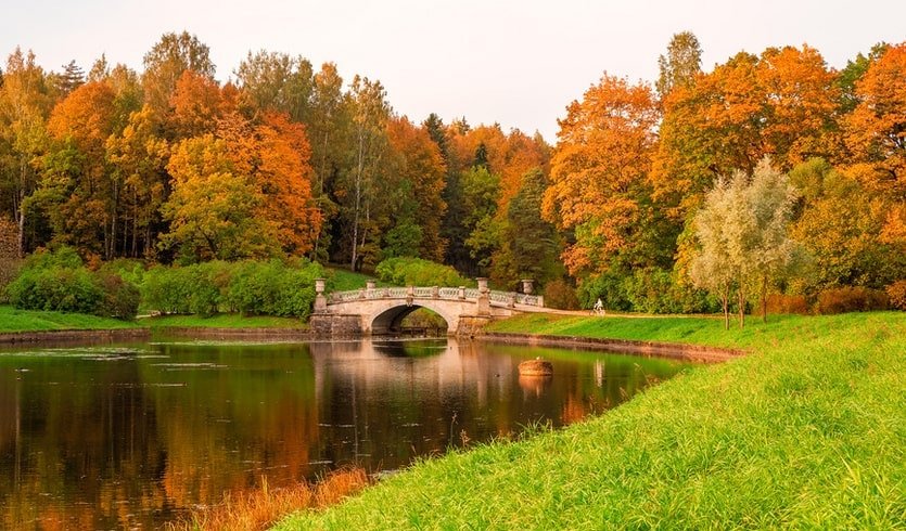 Знакомство с Петербургом, 5 дней – сборные туры в Санкт-Петербург от 15050 рублей
