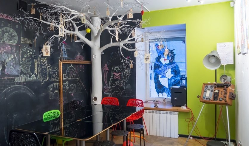 ЗаМурчательный Петербург (для школьных групп) – экскурсии и программы для детей от 975 рублей