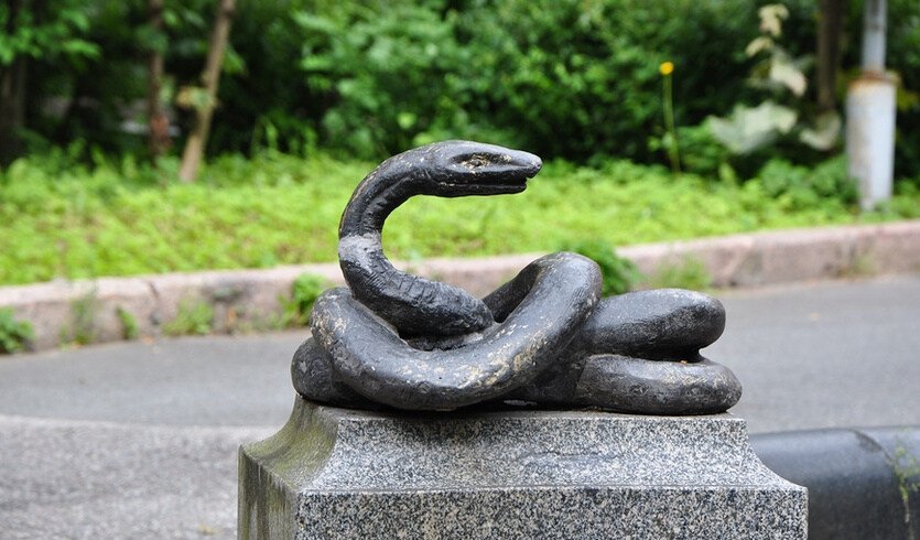 Петербургские медики и аптекари (для заказных групп) – автобусные экскурсии для организованных групп от 500 рублей