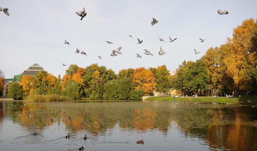 Таврический сад – пешеходные экскурсии от 1000 рублей