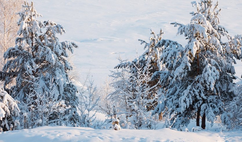 Карелия – Туры в Карелию от 1990 рублей Карелия – Туры в Карелию от 1990 рублей