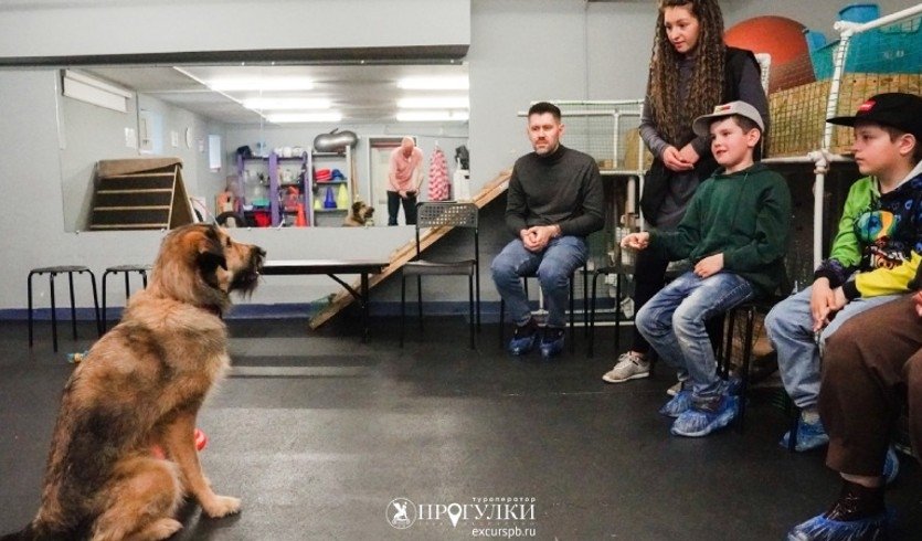 Кинологический центр – Экскурсии для школьников в Санкт-Петербурге под заказ от 820 рублей