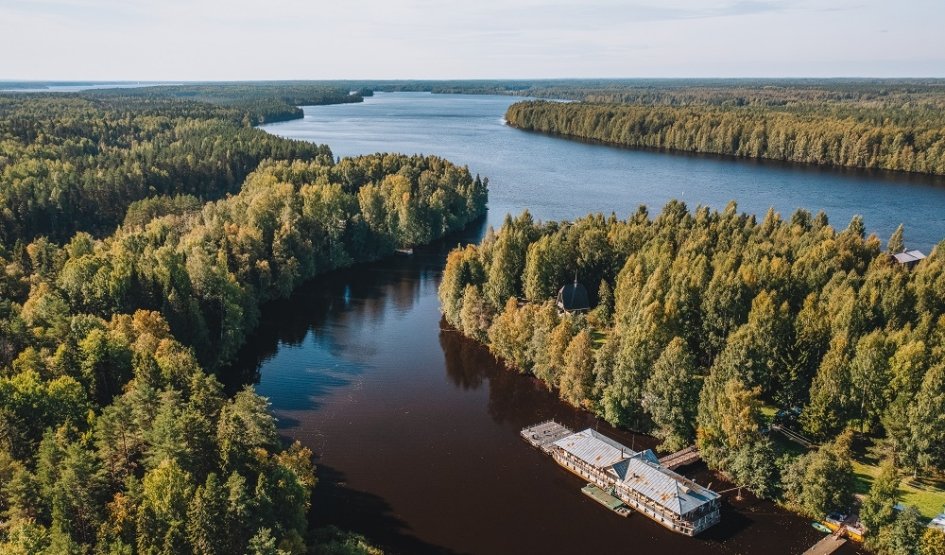 Мандроги Мандроги
