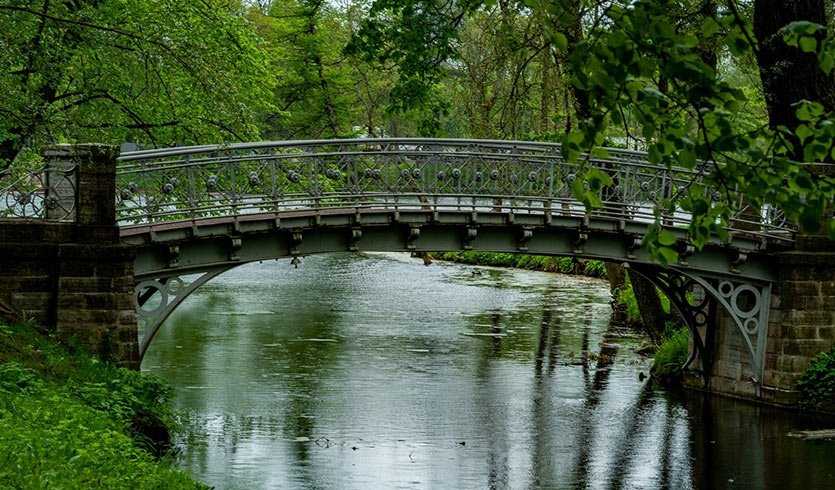 Легче легкого, 5 дней с понедельника (октябрь-апрель) — фото №3 — Photo by Shahabudin Ibragimov on Unsplash Легче легкого, 5 дней с понедельника (октябрь-апрель) — Туры в СПб
