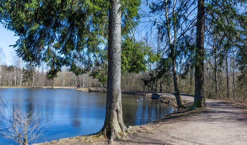 Тайны Шуваловского парка с посещением дворца Воронцовых - Дашковых  – пешеходные экскурсии для заказных групп от 530 рублей