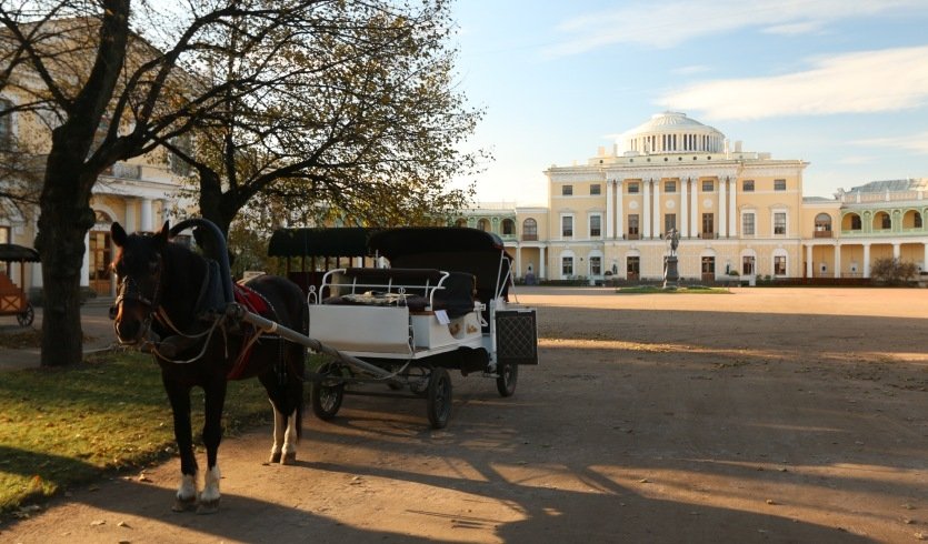 Павловск — Экскурсия для школьников от 23500 рублей