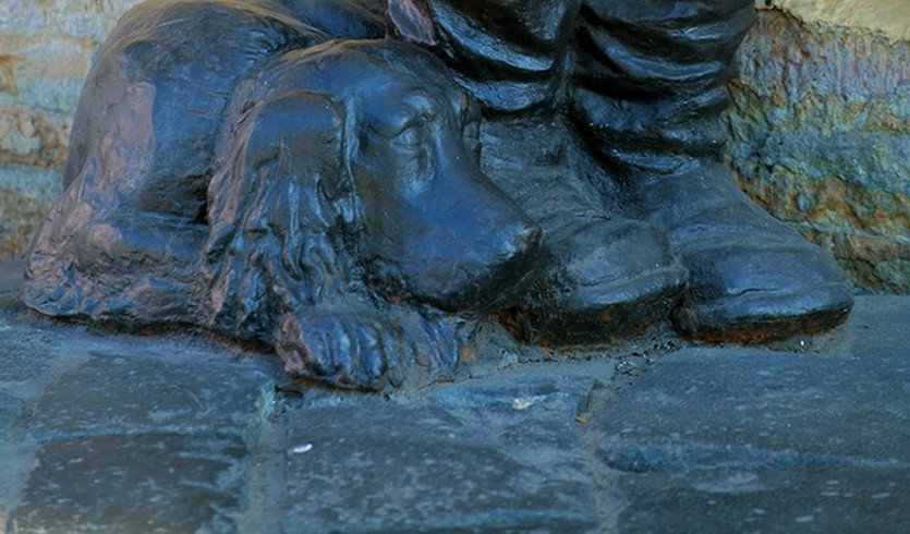 Петербургская Коломна: знакомая и незнакомая — автобусная экскурсия