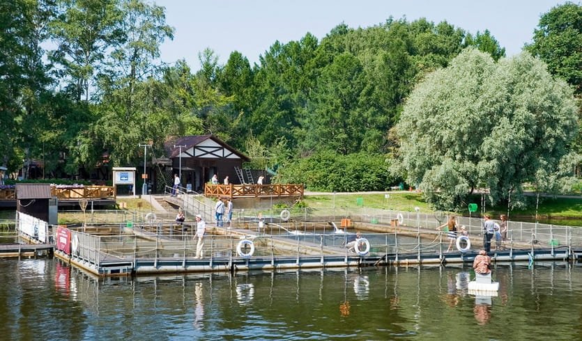 История Крестовского острова (часть 1) для заказных групп – пешеходные экскурсии для заказных групп от 290 рублей