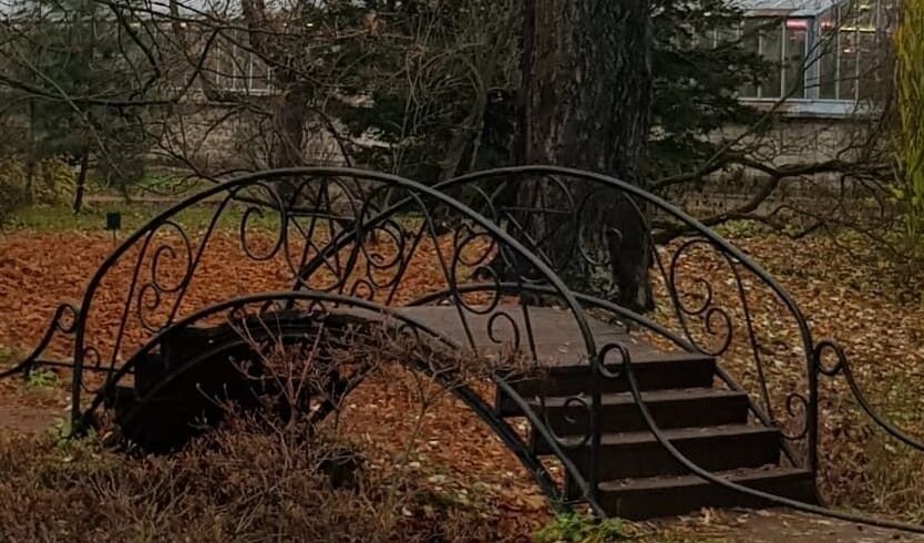 Ботанический сад Петра Великого — Музеи