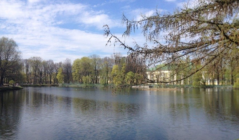 Таврический сад – пешеходные экскурсии от 1000 рублей