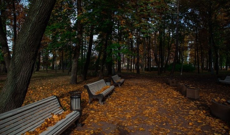 Лопухинский сад – пешеходные экскурсии Лопухинский сад – пешеходные экскурсии