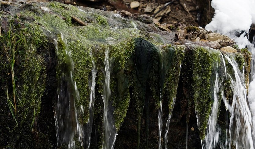 Псков, Изборск, Печоры (1 день) (для групп) – автобусные экскурсии для организованных групп 