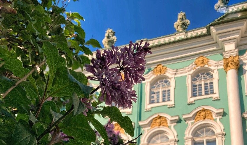 Классический Санкт-Петербург (2 дня, октябрь-апрель) — Фото №1 — Photo by Matvey Yelkin on Unsplash Классический Санкт-Петербург (2 дня, октябрь-апрель) — Туры в СПб