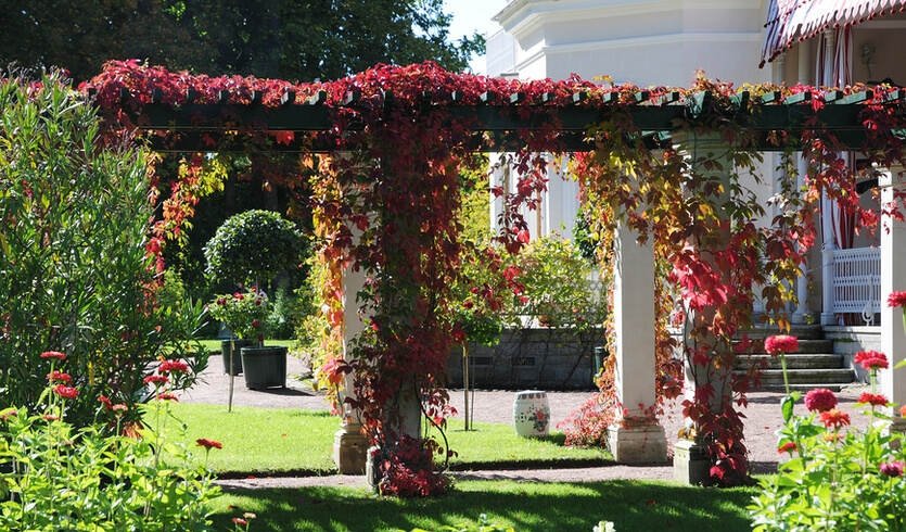 Фермерский дворец. Александрия- парк Петергофа – экскурсии и программы для детей от 345 рублей