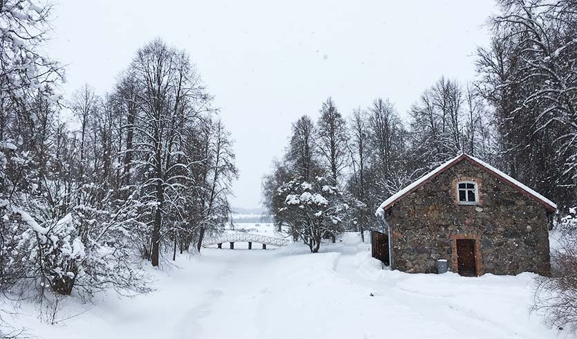 Пушкинские горы – туры и экскурсии в Псков от 7650 рублей