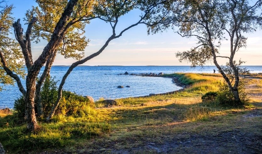 Вид Белого моря на Соловках – Туры по России от 27000 рублей 